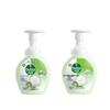 Antibacterial Foam Hand Soap Duo Pack (Grapefruit & Lime)