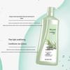 CENTAINE Anti-Dandruff & Itch Relief Shampoo