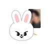 [Pre-order] Stray Kids - Plush Magnetic Holder - THIS & THAT