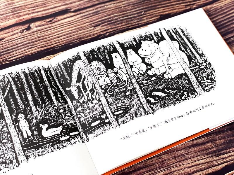 Forest Convention Children's Book