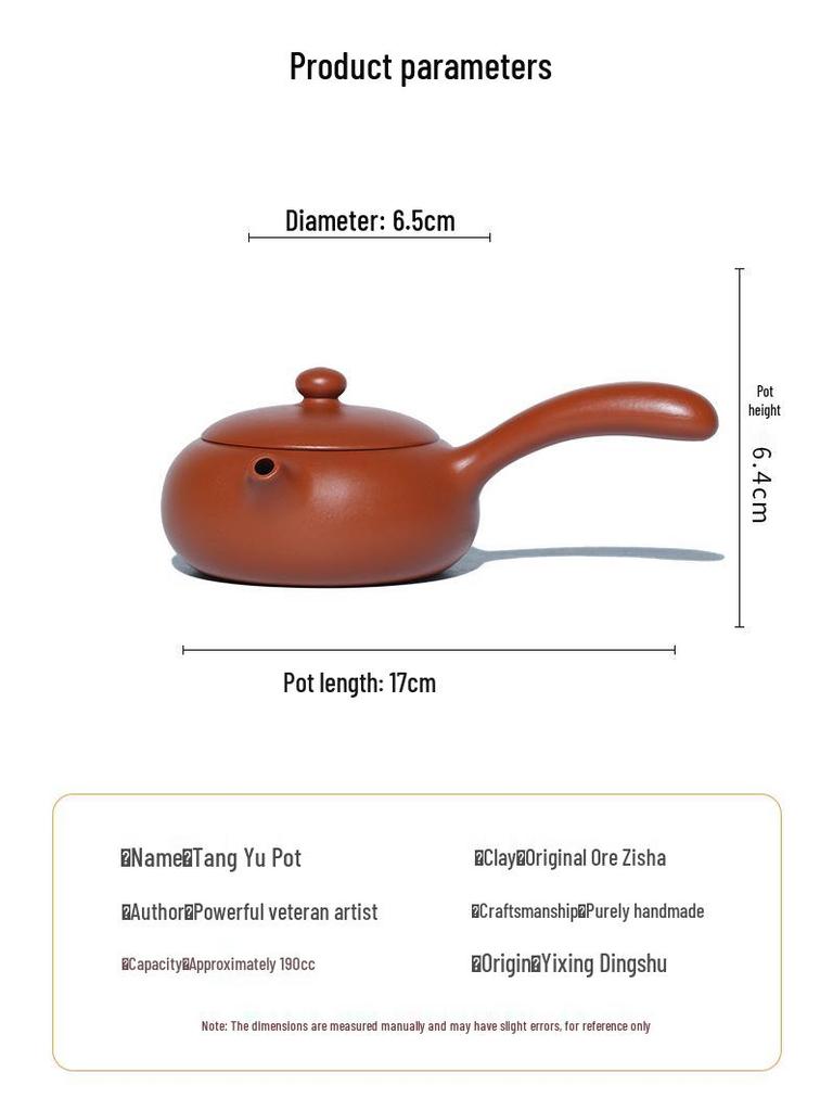 Tangyu Zisha Side Handle Xishi Teapot - Original Yixing Clay Kung Fu Teaware