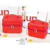 Large Capacity Portable Makeup Bag, Multifunctional Organizer Toiletry Travel Bag Handheld Cosmetic Case