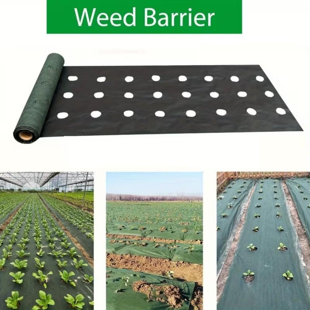 Pre-punched Holes Perforated Grass Proof Cloth Weed Control Ground Cover Vegetable Gardens