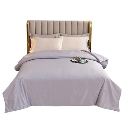 Saintfunia SFN-061 Skin-friendly Mulberry Silk Summer Quilt