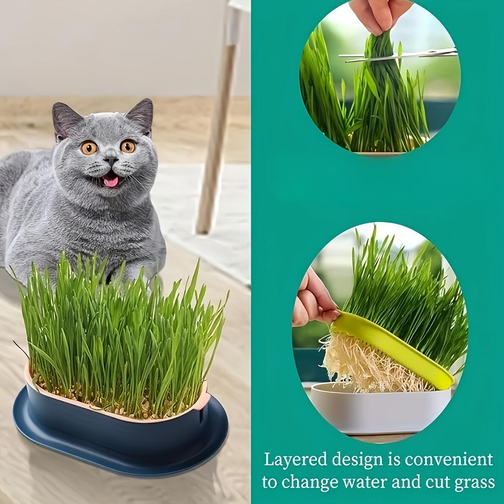 1 Pack Katzengras Anzuchtbox, Hydroponische Pflanzkästen, Robuste Kunststoff Anzuchtschalen mit Einfachem Wasseraustausch-Design für Katzen
