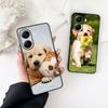 Golden Retriever Dog Pet Animal Phone Cover for Xiaomi Redmi Note 12 11 10 A3 Pro 10A 10C 12C Note12 5G Casing Coque Case
