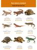 UVB 5.0 LED Turtle Basking Lamp - Full Spectrum UV Sunlamp for Reptiles and Plants