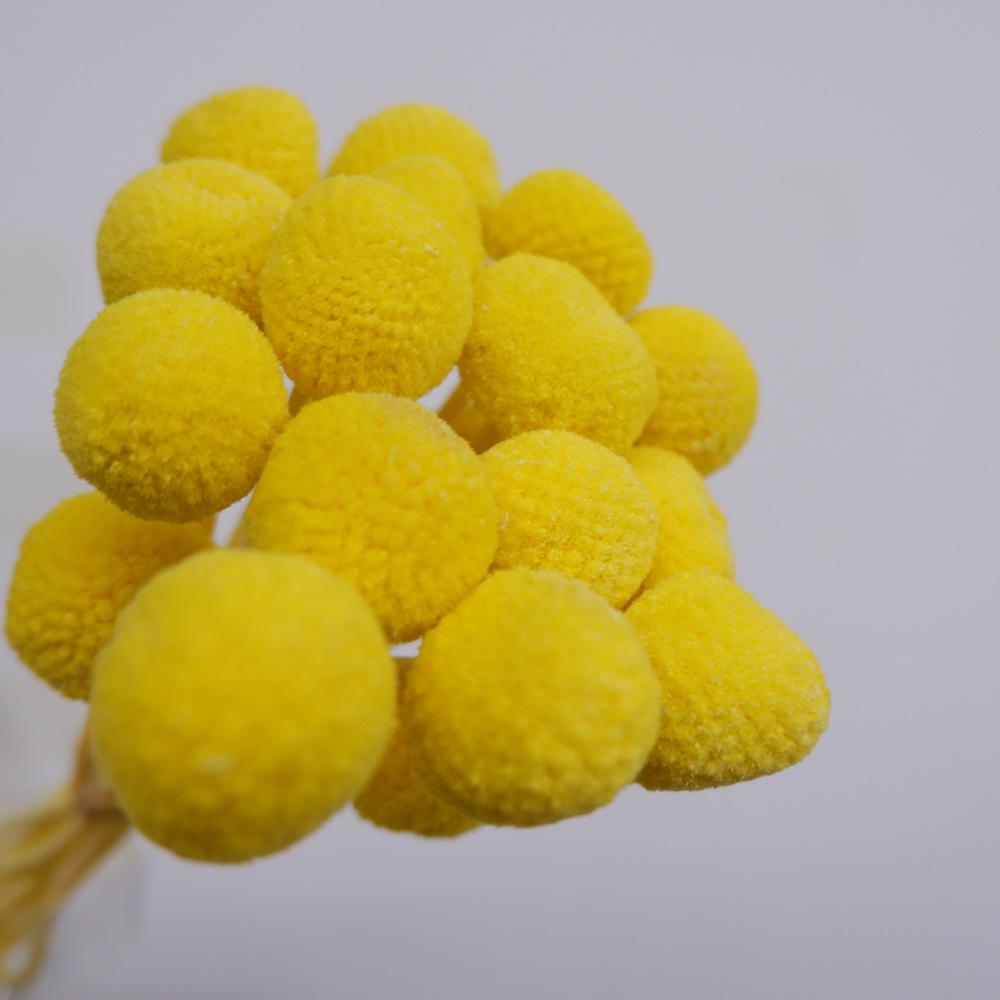 

Середні та Великі Вічні Золоті Кулі Матеріали для Букету Сухоцвітів Домашній Декор Квіткова Композиція Прикраси Фотореквізит Ручна Робота DIY