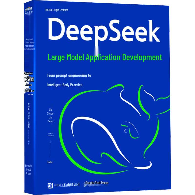 DeepSeek Large Model Application Development