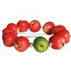 Simulation Fruit Beaded Bracelet Retro Fun Summer Colorful Bracelet  Beach Vacation