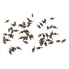60pcs Fishing Knot Protectors Compact Rubber Terminal Knot Sleeves for Freshwater Seawater