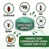 12-Pack Peppermint Oil Mouse Repellent, Fast-Acting Formula Deters Rats, Mice, Ants & More, Eco-Friendly & Long-Lasting