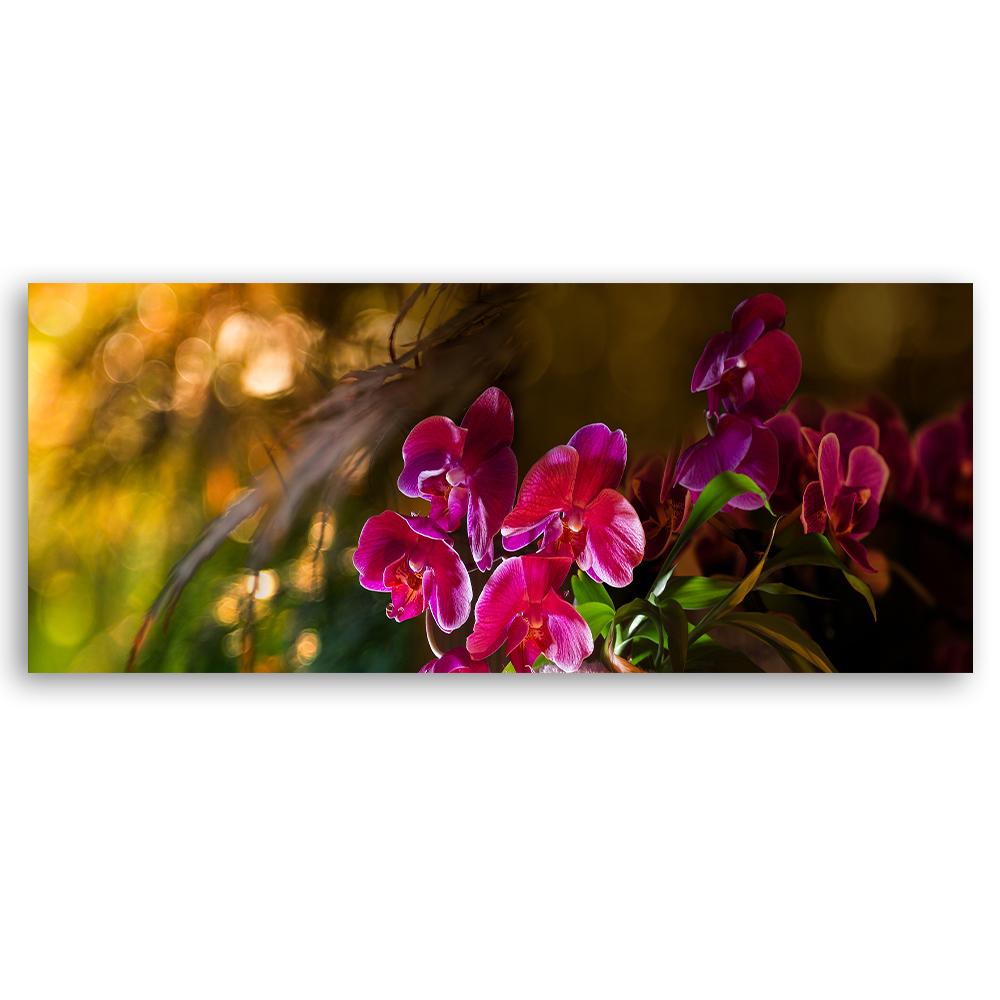 Canvas Print, Flowers Zen Orchid