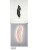Feather LED Wall Lamp for Living Room, Bedroom, and Hallway