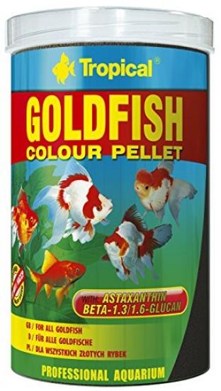 tropical goldfish
