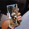 Lustige Esel Handyhülle Für Samsung Galaxy S24 S25 Edge S26 Ultra S23 S22 S21 Plus S20 FE + Personalisierte Druckabdeckung Galaxy S24