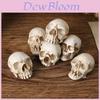 Halloweenská lebka Dekorace Miniaturní pryskyřičná figurka Pro párty a jako dárek