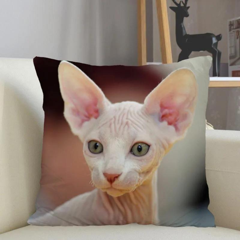 Musife Custom Sphynx Cat Pillowcase Home Decoration 45x45cm Zipper Square Pillowcase Throw Pillow Cover Drop Shipping 04.24