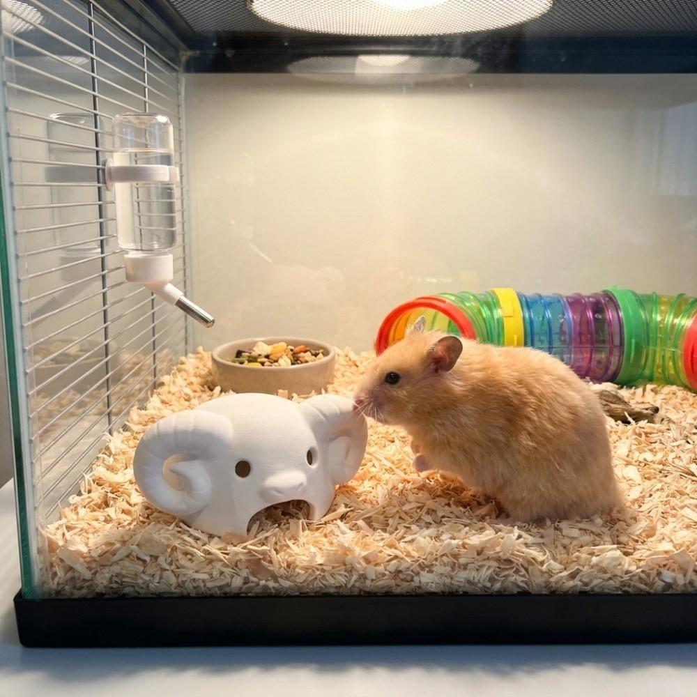Sheep Roll Horn Shape Reptile Hidden Cave 3D Printed Aquarium Landscaping Chews