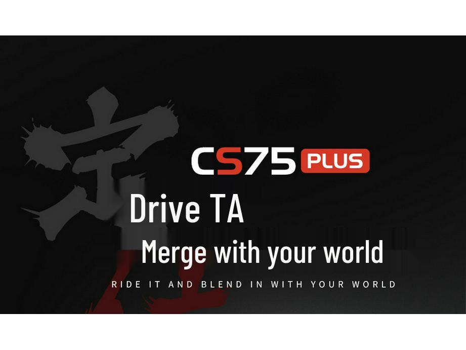 2021-2024 Changan CS75 PLUS Car Seat Covers, Full Coverage, Integrated Headrest