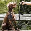 Nylon Hundesnor Kæde Reflekterende Design Hundehalsbånd Holdbar og Robust Hvalpetilbehør Blødt Kæledyrsudstyr Hundetilbehør