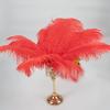 10PCS Big Ostrich Feathers 15-60cm for DIY Craft Wedding Table Center Decor Ostrich Plumas Carnival Party Stage Accessories Bulk