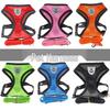 Breathable Mesh Pet Harness and Leash Set for Small & Medium Dogs