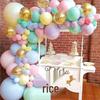 Macaron Pastel Balloon Set for Weddings and Festivals