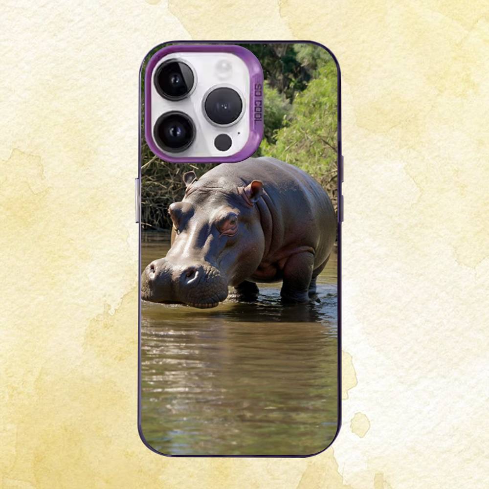 Funny Animals Case for iPhone 11 12 13 14 15 16 17 Pro Max XS X XR Cover