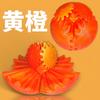 3D Printed Gear Ball The Steampunk Whirling Wonder Fidget Printed Stress Relief Toys Wonder 3D Printed Spin & Relaxing Ball