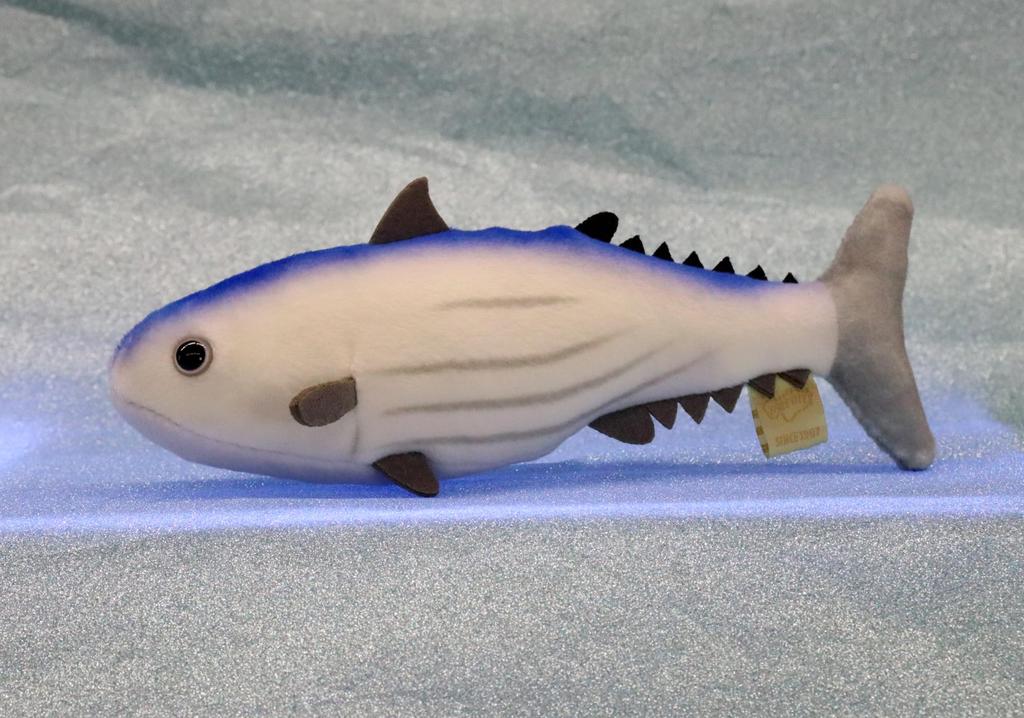 Take Off Pish - A small, colorful fish plush toy that makes a "beep" sound when you press its belly.
