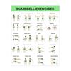 3Pcs Home Workout Poster Set with Dumbbell Bodyweight Barbell Exercises Full Body Strength Training Guide for Beginners Advanced Laminated Fitness