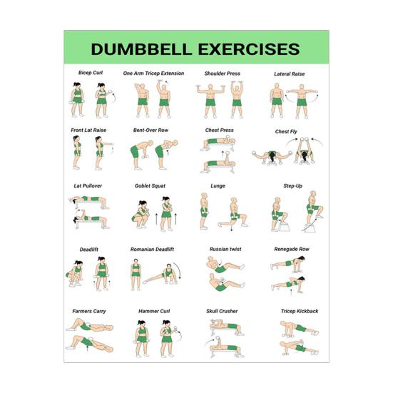 3Pcs Home Workout Poster Set with Dumbbell Bodyweight Barbell Exercises Full Body Strength Training Guide for Beginners Advanced Laminated Fitness