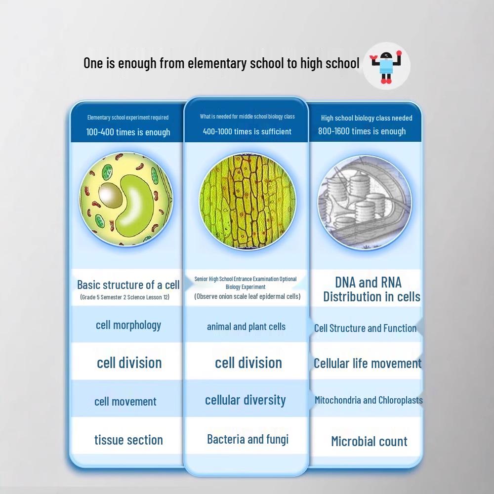 Hochauflösendes biologisches Mikroskop für Kinder im Alter von 6-12 Jahren: Ideal für den Unterricht über Zellen, Bakterien und Mikroorganismen in Grund- und Mittelschulen