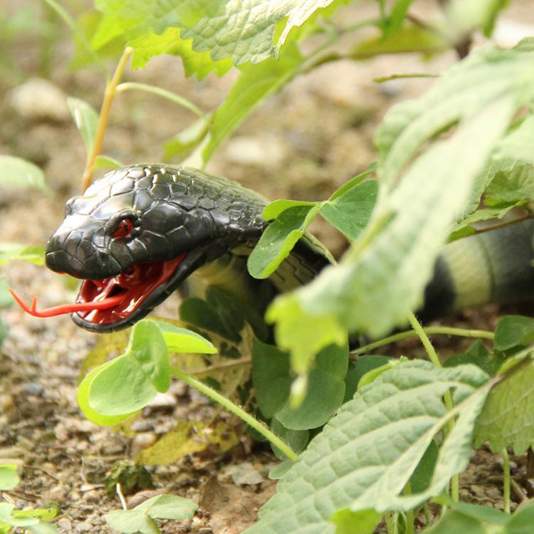 Realistic Remote Control Rattlesnake Toy: King Cobra Experience
