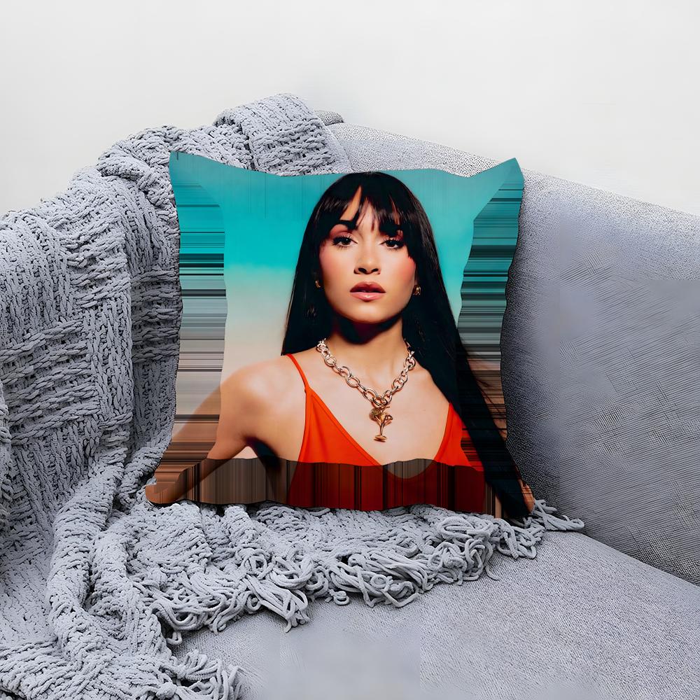 Singer A-Aitana Ocana Cushion Cover Comfortable Reversible Pillow Cover Ideal for Car Sofa Bedroom & Beyond