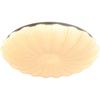 Meng Pao Shell Creative Art LED Ceiling Lamp