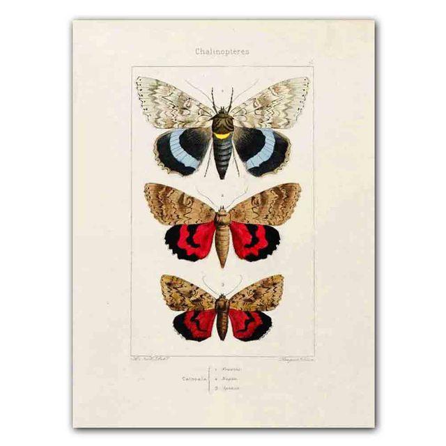 Nordic RETRO Art Canvas Painting Butterfly Insect Evolution Poster Living Room Corridor Wall Painting Home Decoration Mural No Frame