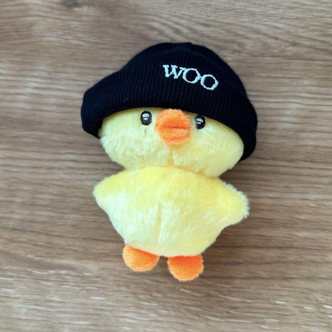 

[USED] Byun Woo Seok Byun Woo Seok Plush Toy WOOPPI