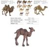 Wildlife Pvc Model Collection With Realistic Desert Camels For Classroom Decor