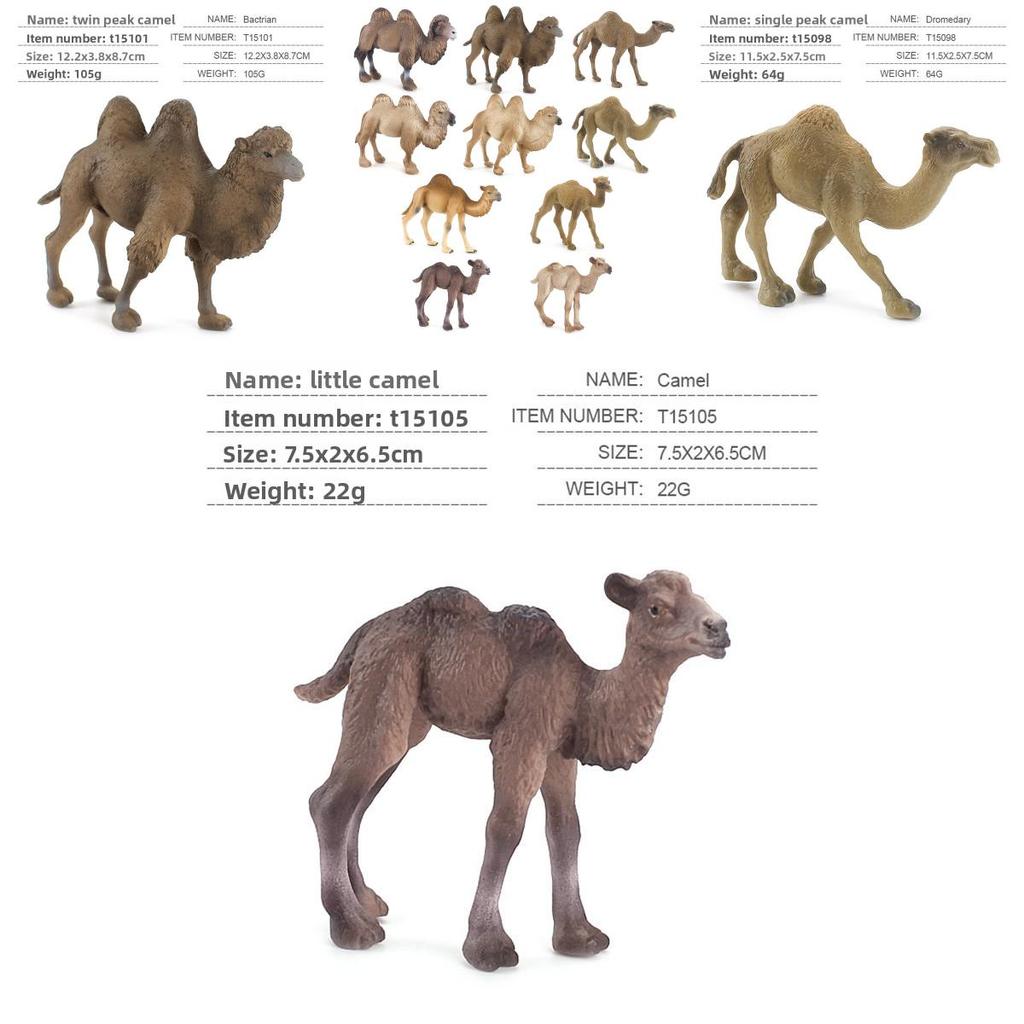 Wildlife Pvc Model Collection With Realistic Desert Camels For Classroom Decor