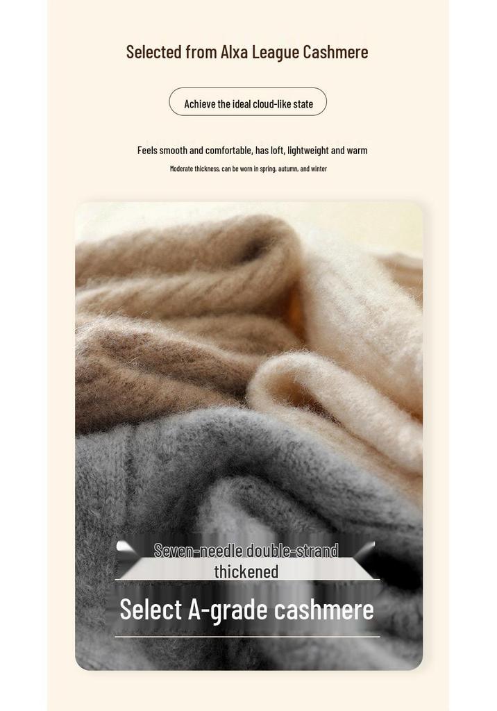 Women's Autumn/Winter Cashmere Sweater with High Neck and Raglan Sleeves