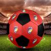 SIZE 5 FC Viktoria Plzeň Soccer Ball Colorful All Ages Machine Stitched PVC Competition Ready Durable High-Bounce