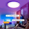 TUYA Intelligent LED Ceiling Light WiFi Bluetooth Dimmable RGB Alexa Google Voice Control Bedroom Living Room Decorative Light