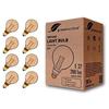 Greenandco 8x Ampoule À LED Décorative Style Vintage Rétro Industriel Antique Edison E27 G95 4W 200lm 1800K (blanc Très Chaud) 320