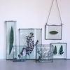 Golden Border Glass Photo Frame - Wall Hanging & Desktop Decorative Display