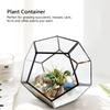 Stilvolle geometrische Form Glas Blumentopf Sukkulenten Pflanze Pflanzer Container Landschaft Dekoration