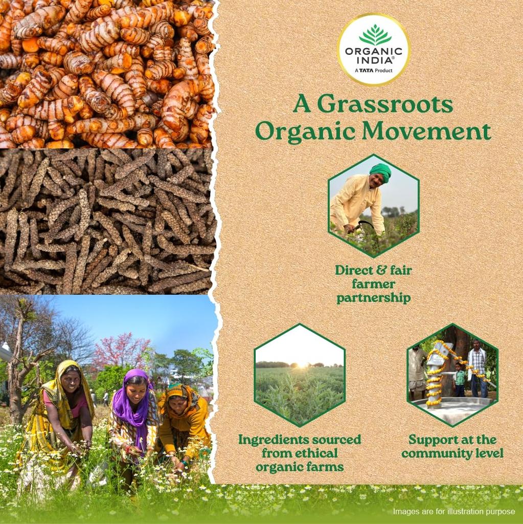 TATA Organic India Formule Curcuma 60 Gélules Végétales pour le Bien-être et le Soutien de la Vitalité Naturelle