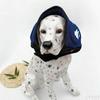 Protection Auditive Chien Calmant Oreillettes Réduction du Bruit Imperméable Chien Apaisant Cache-tête Résistant aux Chocs Oreillettes pour Chien
