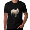 Serene Woolly Sheep Standing Proudly Tshirt Big Size Daily Wear Tshirt